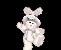 Dancing Bunny