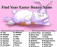 Find your Easter Bunny Name