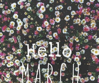 Hello March