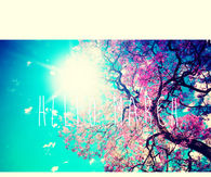 Hello March