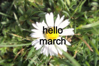 Hello March