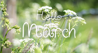 Hello March