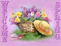 Welcome Spring