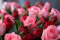 Pink and red rose bouquet