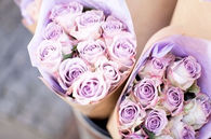 Purple roses