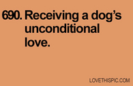 690-dogs-love