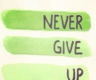 Never Give Up