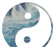 Ying Yang