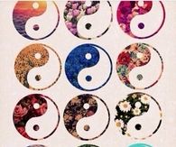 Ying Yang