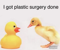 Plastic Surgey