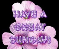 Have a great sunday