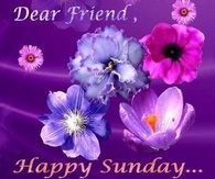 Dear friend, happy sunday
