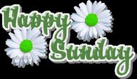 Happy Sunday
