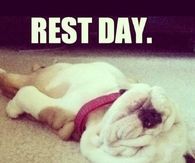 Rest day