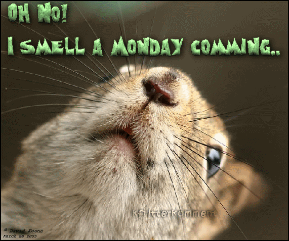I smell a monday coming