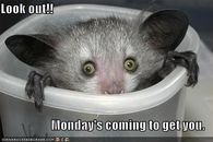 Mondays coming to get you