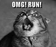 OMG Run, mondays coming