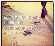 Lord determines our steps