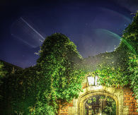 Light in the garden