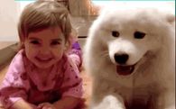 Partners in Crime