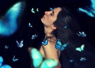 Among butterflies