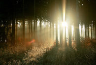 A light in the darkness
