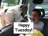 Happy Tuesday
