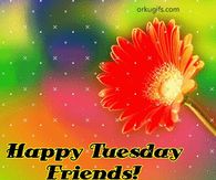 Happy Tuesday Friends
