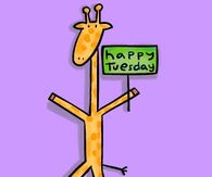 Happy Tuesday
