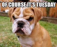Of course its tuesday, this aint my friday face