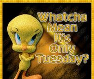 Watcha mean its only tuesday