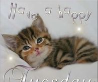 Have a happy tuesday