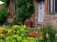 Lush garden