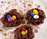 Hummingbird nests