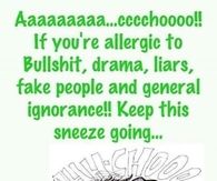 allergic to bullshit