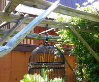 Bird cage with succulents