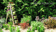 Ladder container garden