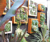 DIY Vertical Garden