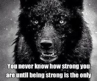 You Never Know