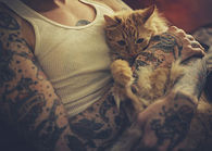 Tattoos and Cat