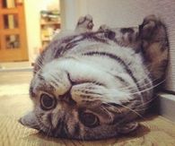 Hi There