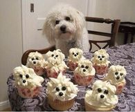 Puppy Cupcakes