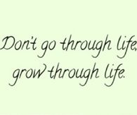 Dont go through life, grow through life