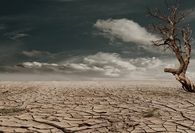 The drought
