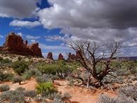 Monument Valley
