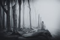 Haunting forest