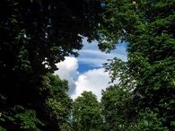 A break in the trees