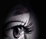 What we see