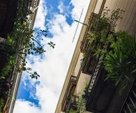 Just look up