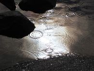 Water drops